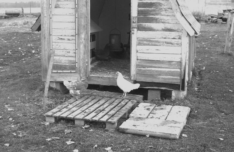 chicken coop