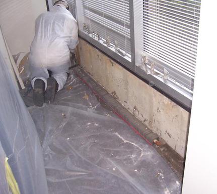 mold abatement